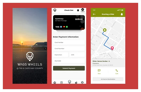 a smart investment in urban mobility
